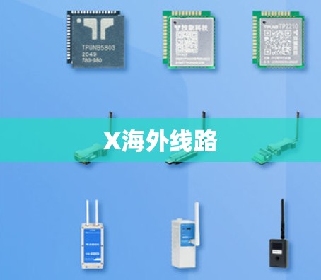 X海外线路