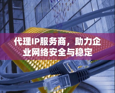 代理IP服务商，助力企业网络安全与稳定