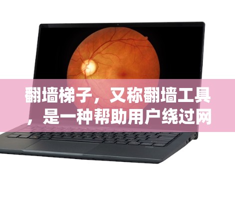 翻墙梯子，又称翻墙工具，是一种帮助用户绕过网络限制，访问被屏蔽或限制访问的网站的软件。通常，这些工具通过代理服务器或加密技术，模拟不同的网络环境，使得用户能够访问受限的内容