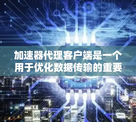 加速器代理客户端是一个用于优化数据传输的重要组件，特别适用于大数据量的场景。以下是对加速器代理客户端的详细分析和总结