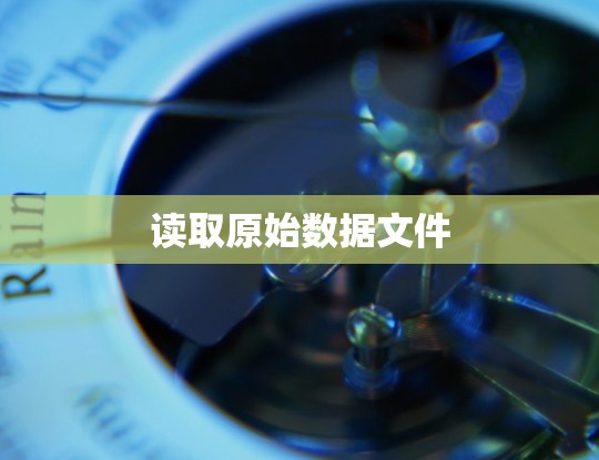 读取原始数据文件