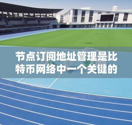 节点订阅地址管理是比特币网络中一个关键的功能,用于维护和管理节点之间的连接信息。以下是关于节点订阅地址管理的详细步骤和建议
