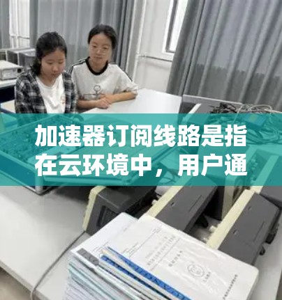加速器订阅线路是指在云环境中，用户通过订阅服务，获得基于加速器的网络性能优化方案。以下是关于加速器订阅线路的详细分析和解决方案