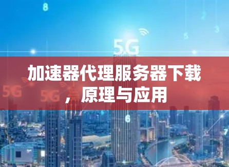 加速器代理服务器下载，原理与应用