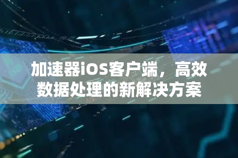 加速器iOS客户端,高效数据处理的新解决方案 加速器iOS客户端,高效数据处理的新解决方案