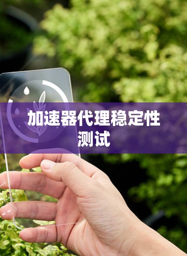 加速器代理稳定性测试