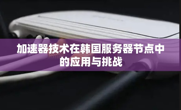 加速器技术在韩国服务器节点中的应用与挑战