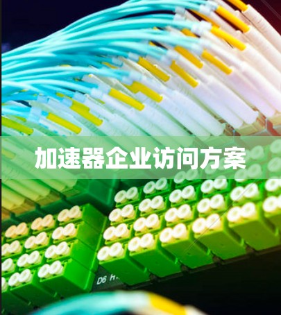 加速器企业访问方案