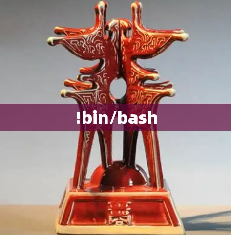 !bin/bash