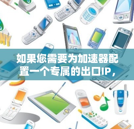 如果您需要为加速器配置一个专属的出口IP，以下是一些可能的方法和建议，帮助您实现目标