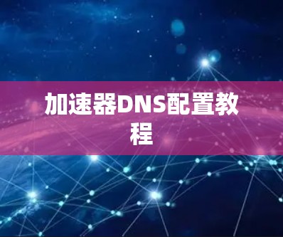 加速器DNS配置教程
