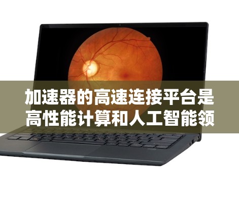 加速器的高速连接平台是高性能计算和人工智能领域中的关键技术，用于实现加速器之间和加速器与其他计算设备之间的快速通信。以下是对这一技术的详细分析