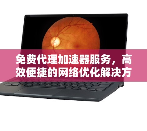 免费代理加速器服务，高效便捷的网络优化解决方案