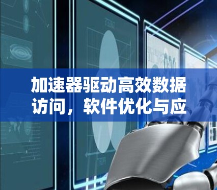 加速器驱动高效数据访问，软件优化与应用