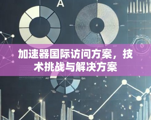加速器国际访问方案，技术挑战与解决方案