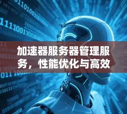加速器服务器管理服务，性能优化与高效运维