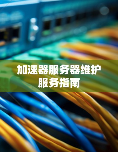 加速器服务器维护服务指南
