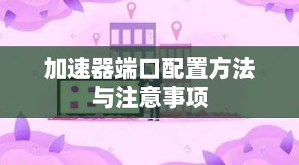 加速器端口配置方法与注意事项