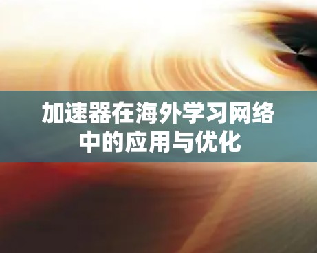 加速器在海外学习网络中的应用与优化 加速器在海外学习网络中的应用与优化