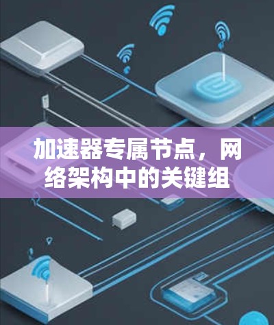 加速器专属节点，网络架构中的关键组件分析