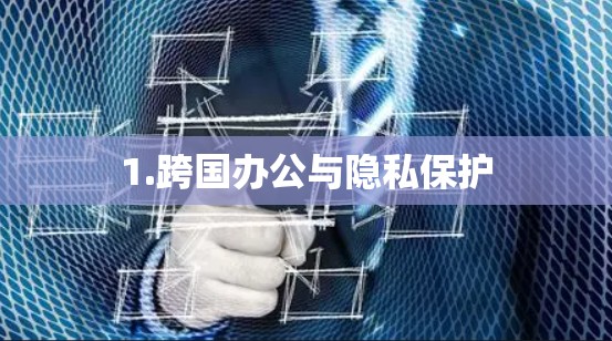 1.跨国办公与隐私保护