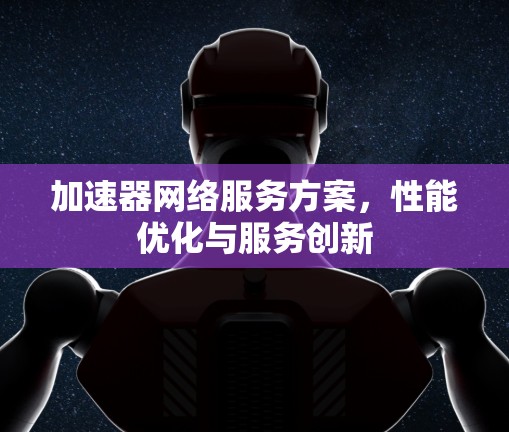 加速器网络服务方案，性能优化与服务创新
