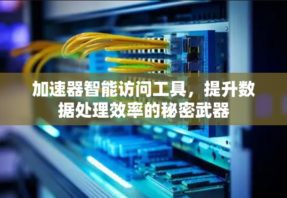 加速器智能访问工具,提升数据处理效率的秘密武器 加速器智能访问工具,提升数据处理效率的秘密武器