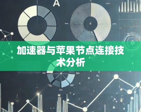 加速器与苹果节点连接技术分析