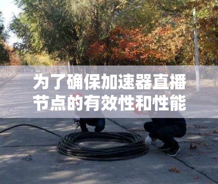 为了确保加速器直播节点的有效性和性能，以下是一套详细的测试计划和步骤