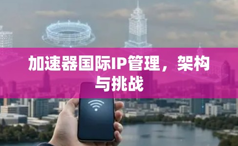 加速器国际IP管理,架构与挑战 加速器国际IP管理,架构与挑战