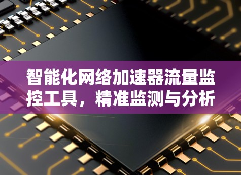 智能化网络加速器流量监控工具，精准监测与分析