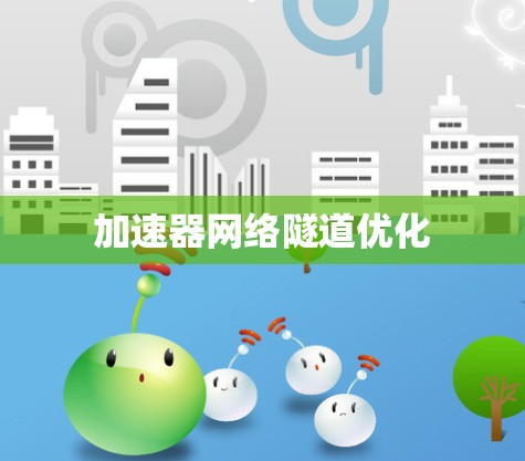 加速器网络隧道优化