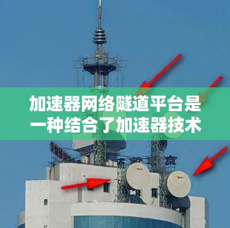 加速器网络隧道平台是一种结合了加速器技术和网络隧道技术的解决方案，旨在在网络环境中提供高效、安全的数据传输服务。以下是对该平台的详细分析