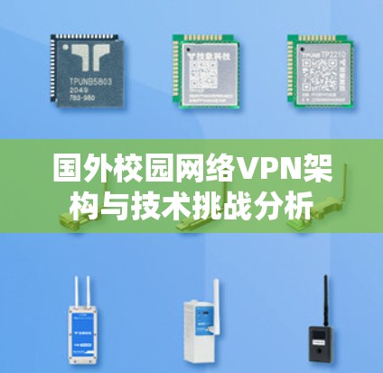 国外校园网络VPN架构与技术挑战分析