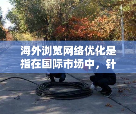 海外浏览网络优化是指在国际市场中，针对用户访问、数据传输和网络服务等方面进行的优化工作，旨在提升用户体验、提高访问速度、确保网络安全，并满足国际市场的特殊需求。以下是一些关键的优化策略和建议