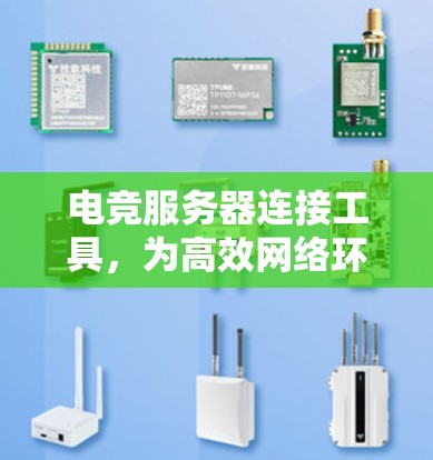 电竞服务器连接工具，为高效网络环境打造基础