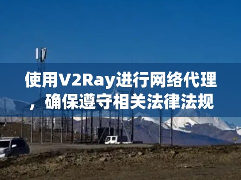 使用V2Ray进行网络代理，确保遵守相关法律法规，并妥善保护网络安全。以下是设置V2Ray的分步指南