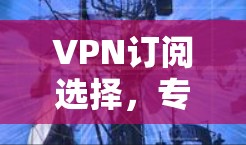 VPN订阅选择，专业工程师的实用指南
