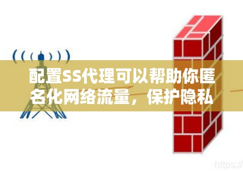配置SS代理可以帮助你匿名化网络流量，保护隐私。以下是详细的步骤指南