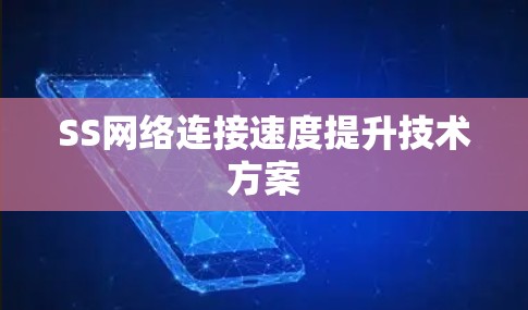 SS网络连接速度提升技术方案