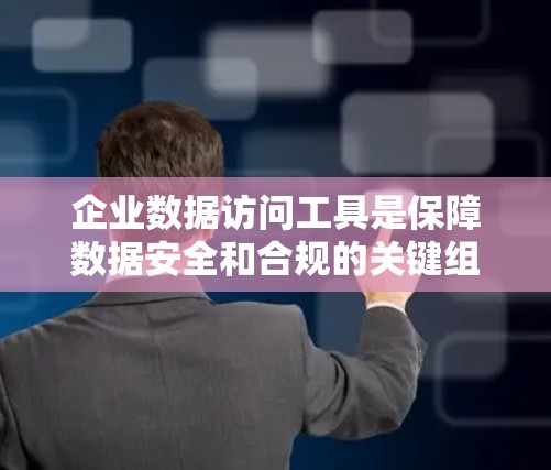 企业数据访问工具是保障数据安全和合规的关键组成部分。以下是对该领域的详细总结和建议