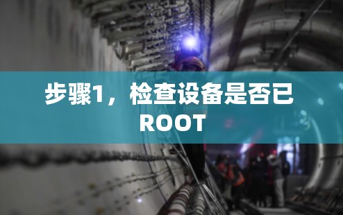 步骤1，检查设备是否已 ROOT